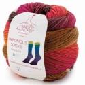 Harmonious Socks von Laines du Nord